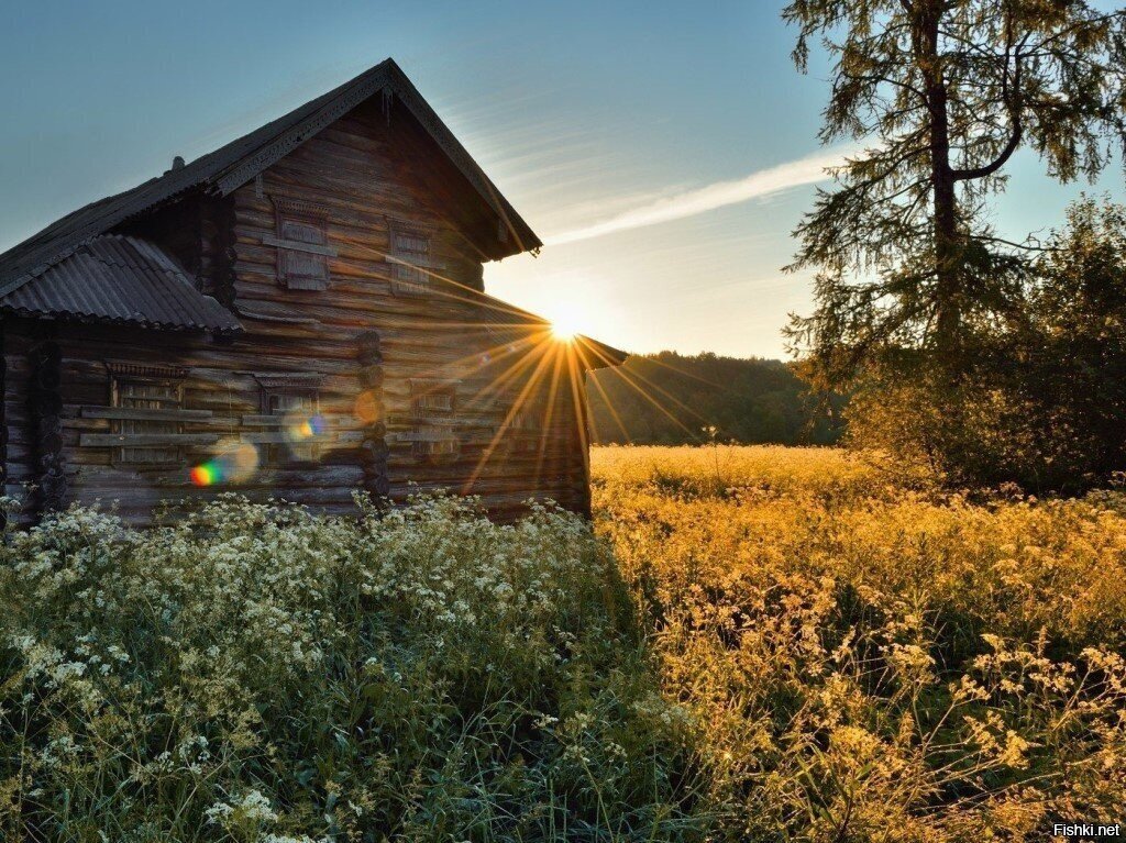 Восход в заброшенной деревне Ведягино, Архангельская область