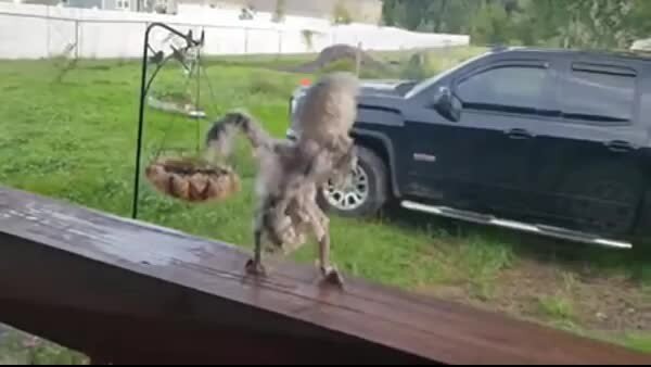 "Родила царица в ночь