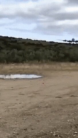 Самолётик всё