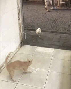 в большой семье