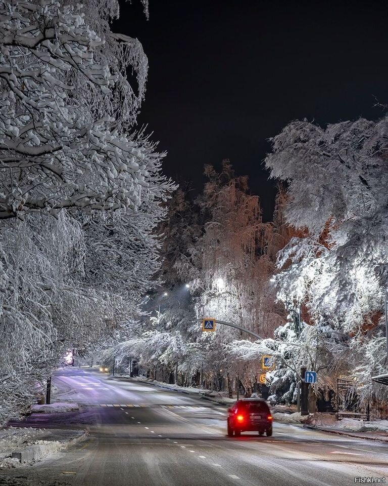 Вечерняя Алмата