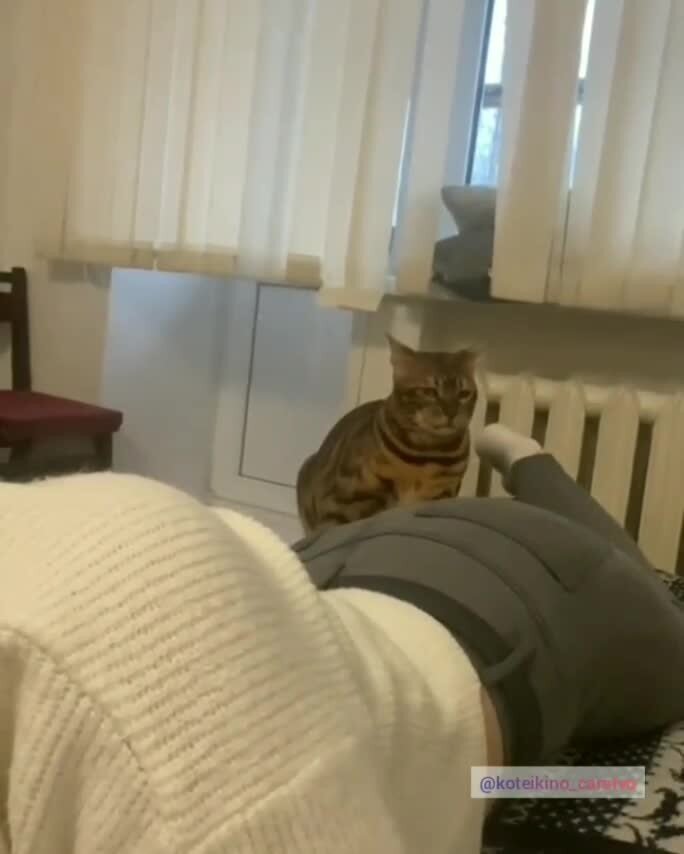 Разговорчивый кусь)