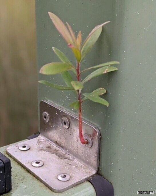 Вот такая вот крепёжная система