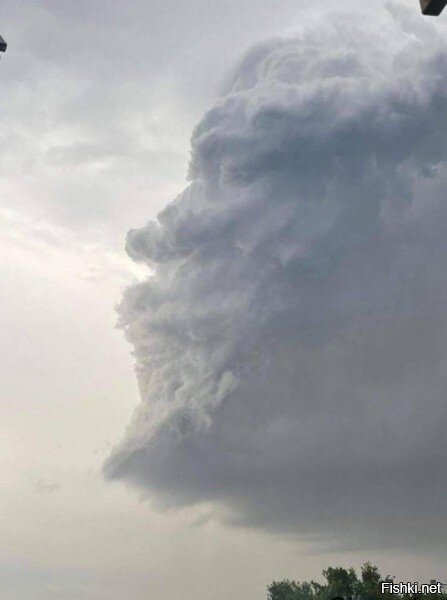 Жил, жив и будет