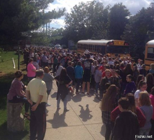 Тень или не тень