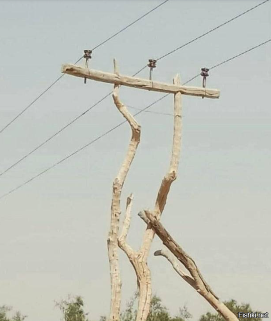 Работает же )