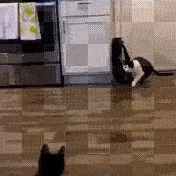 Мортал комбат