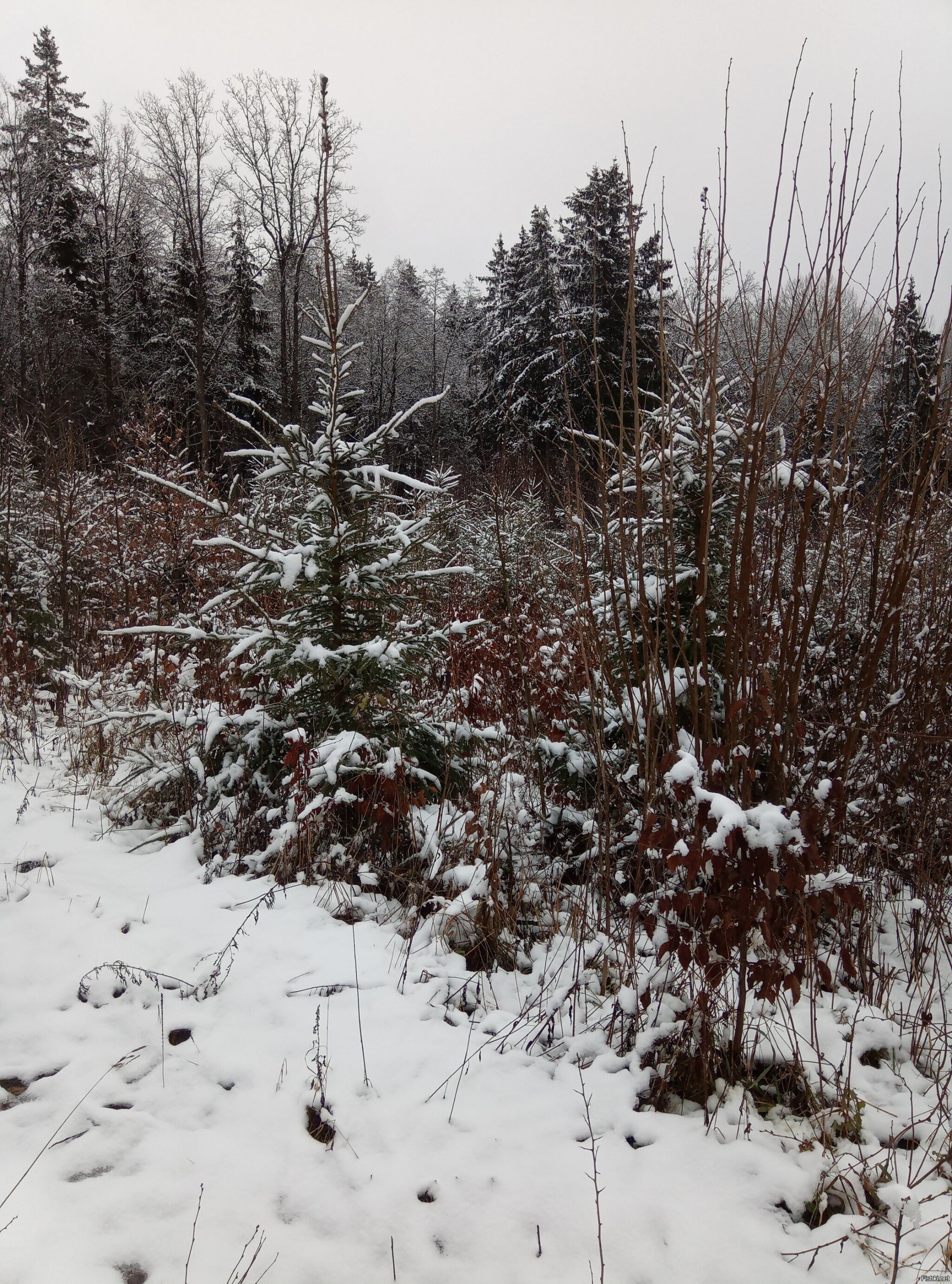 Пасмурно, слякоть, холодно