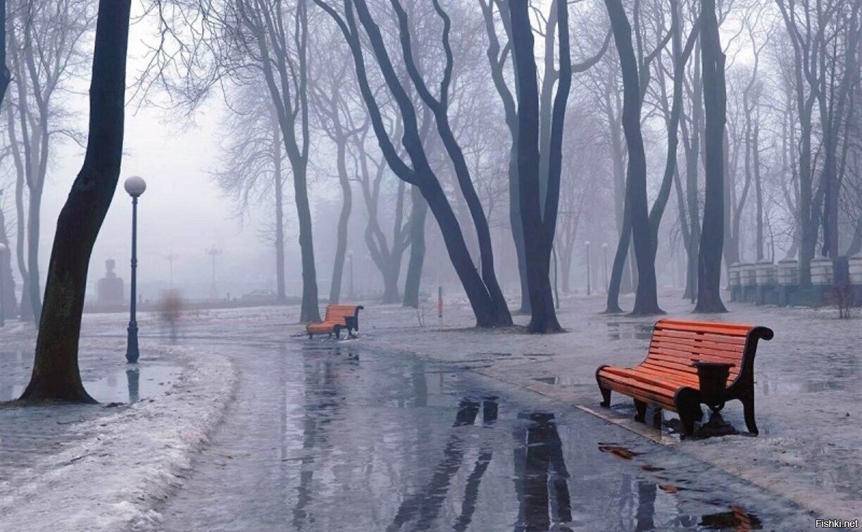 С началом новой недели, пусть она будет доброй