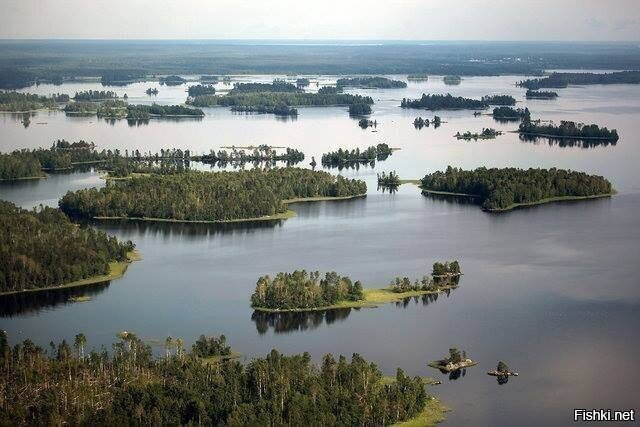 Ленобласть