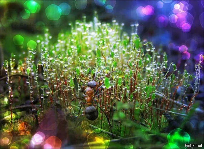 С началом трудовой недели