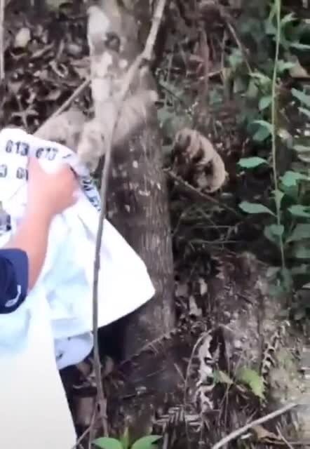 поблагодарил в конце)