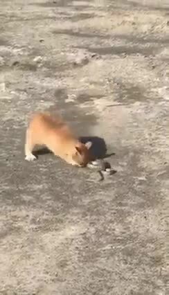 Ух ты какой смелый