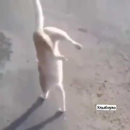 Нормально вштырило))