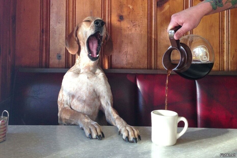 Доброе утро