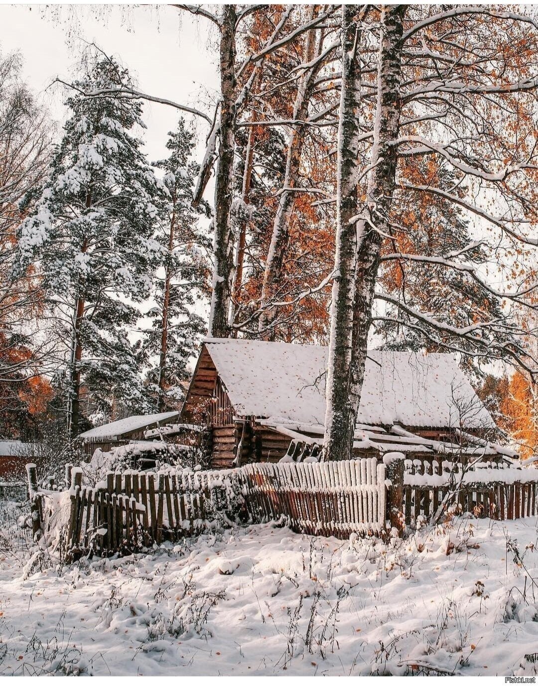 Солянка