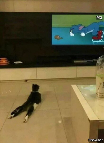 Солянка