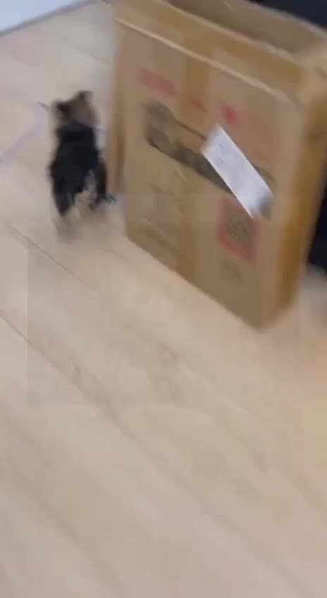 В большой семье