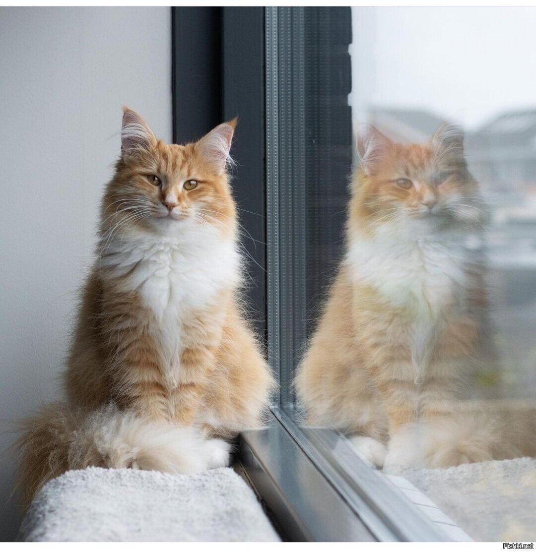 Доброе утро