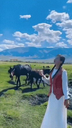 когда в киргизию интернет протянули