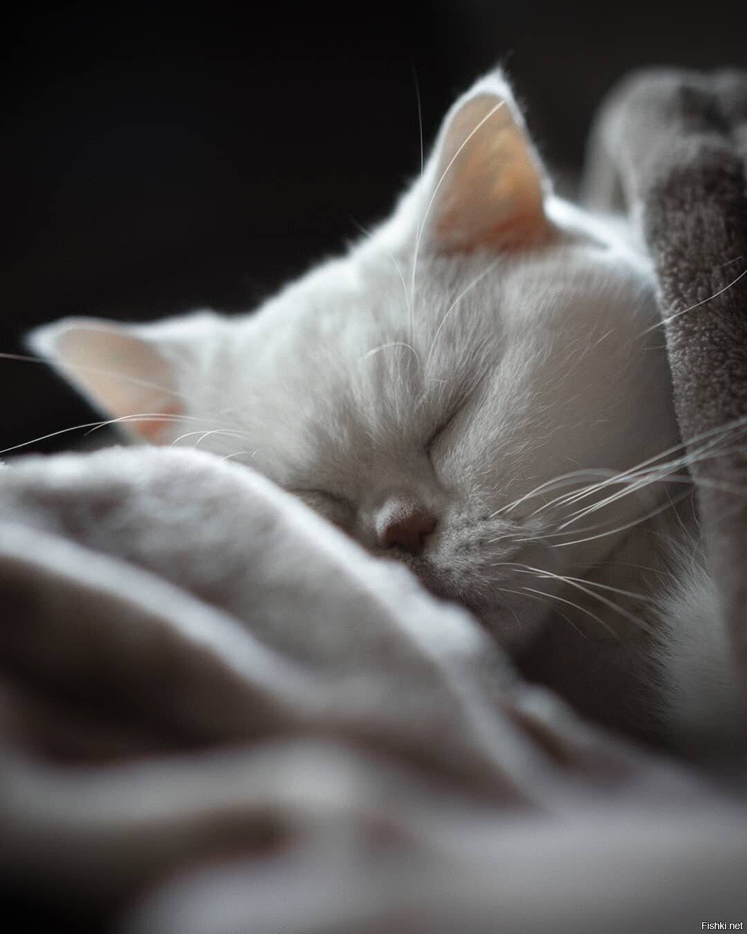 Доброе утро