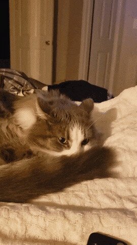 главное - спокойствие