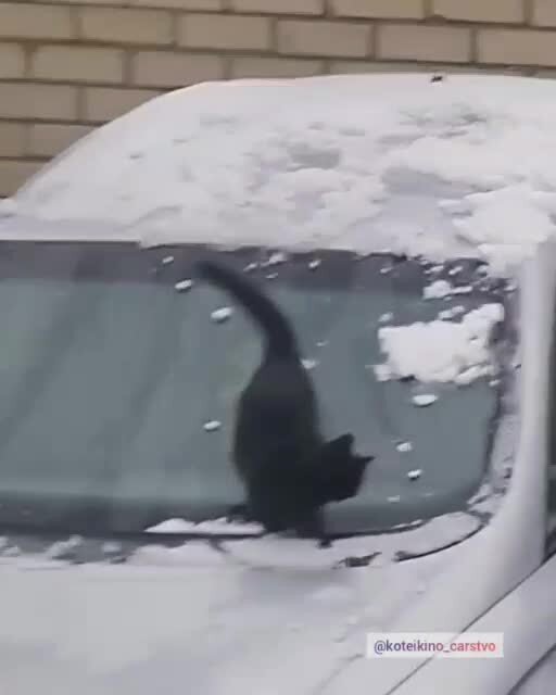 Впервые снег увидел)