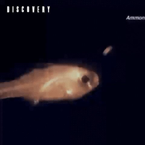 Видать изжога