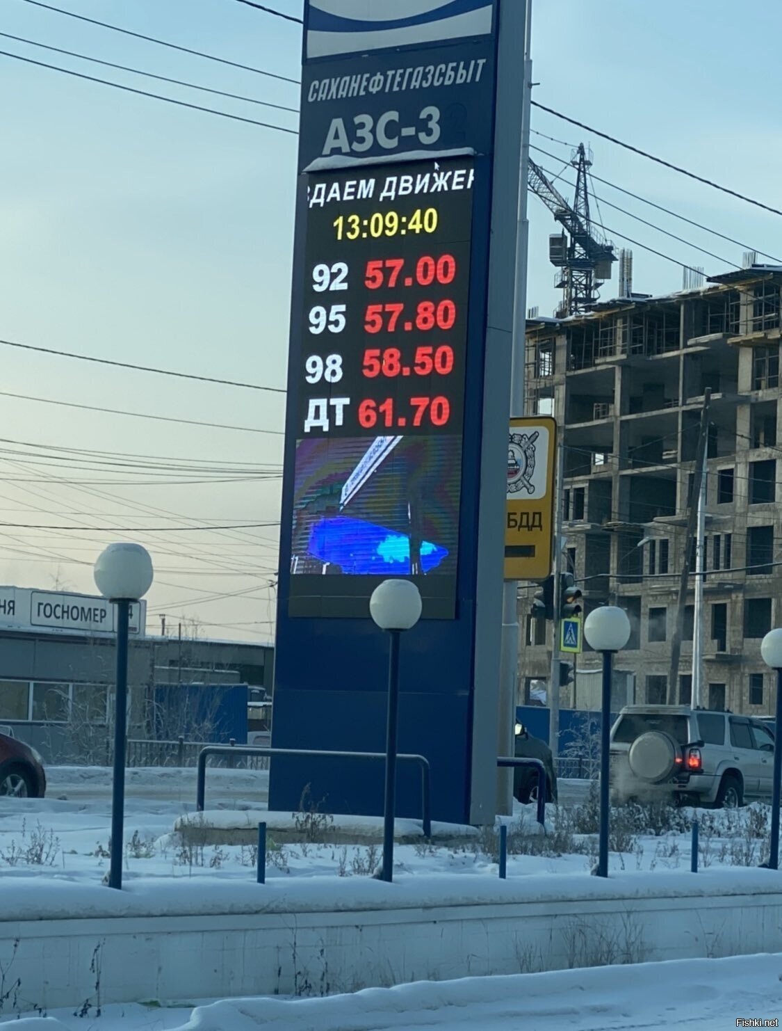 прав был Кола Бельды: а олени лучше )