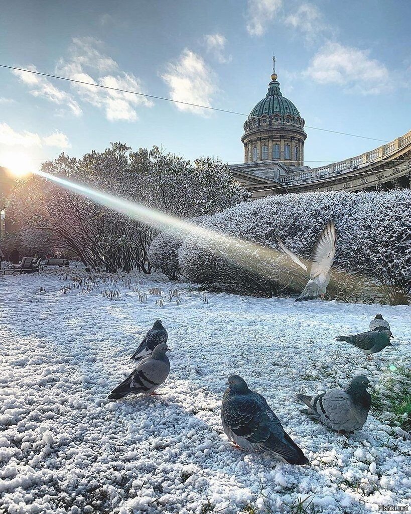 Солянка