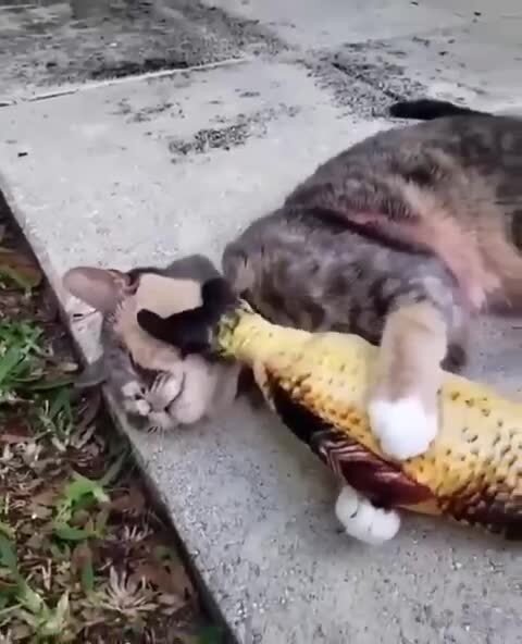 Массаж для лица