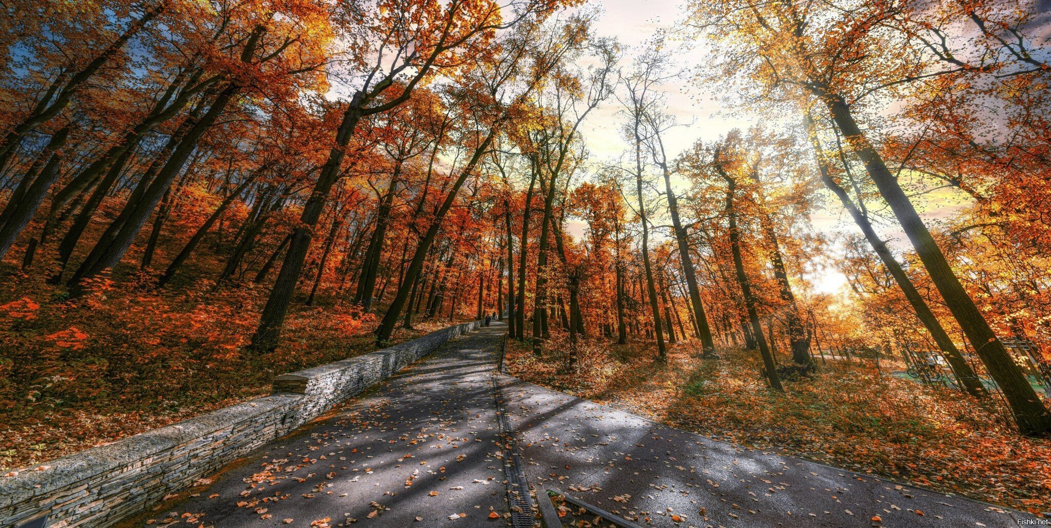 Филёвский парк