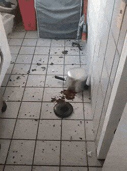 &quot;-завтра ещё сгущёнки куплю