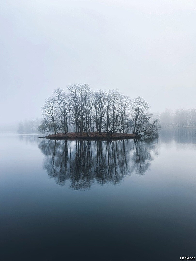 Островок в тумане