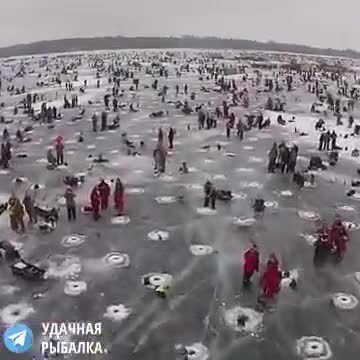 Рассказал соседу по секрету, где поймал щуку на 5кг