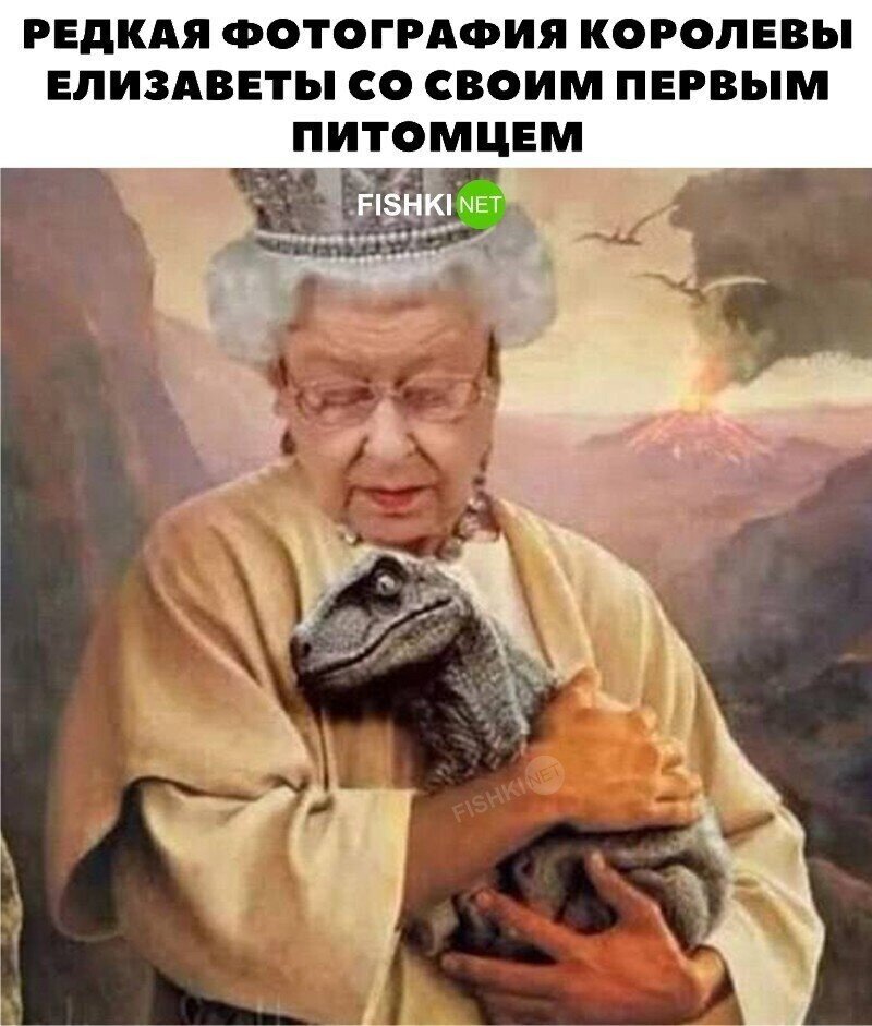 Миленький котик