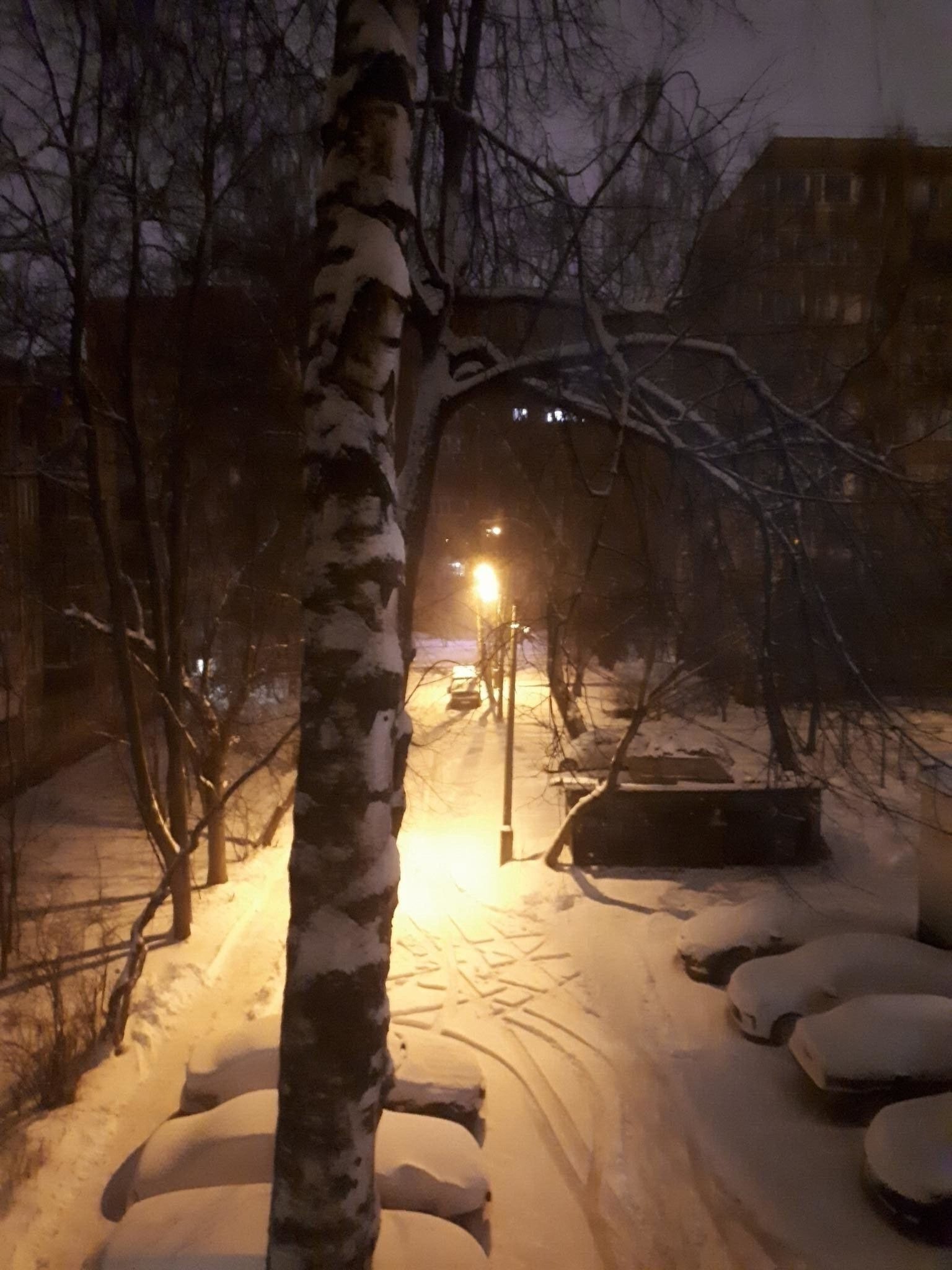 Всех с первым, зимним утром