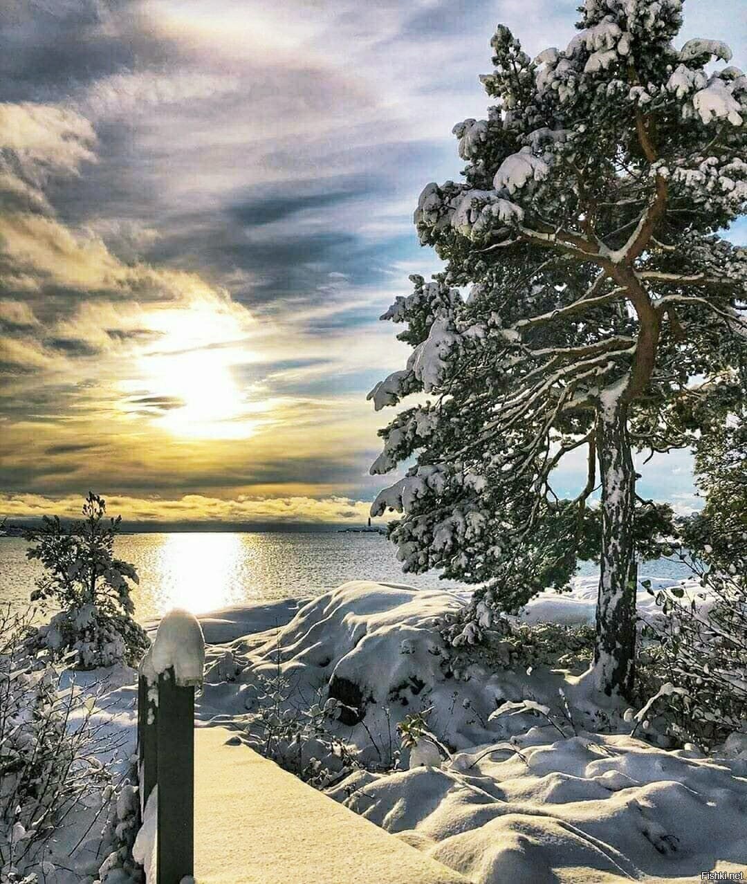 Солянка