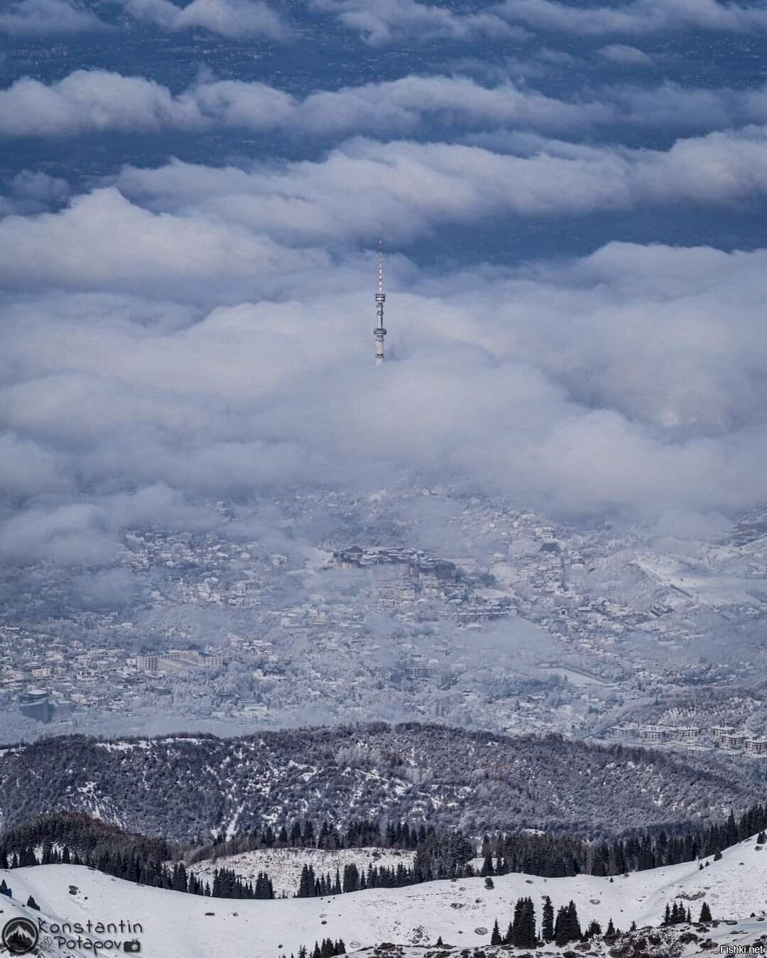 Сегодня утром
