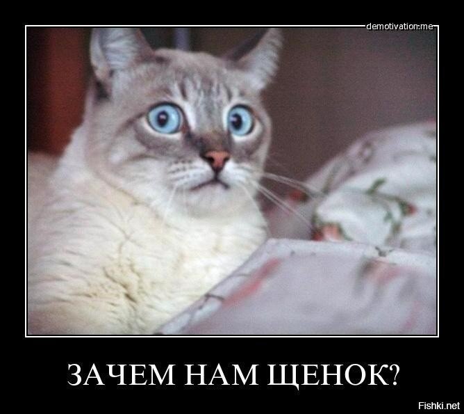 Не всякое утро доброе