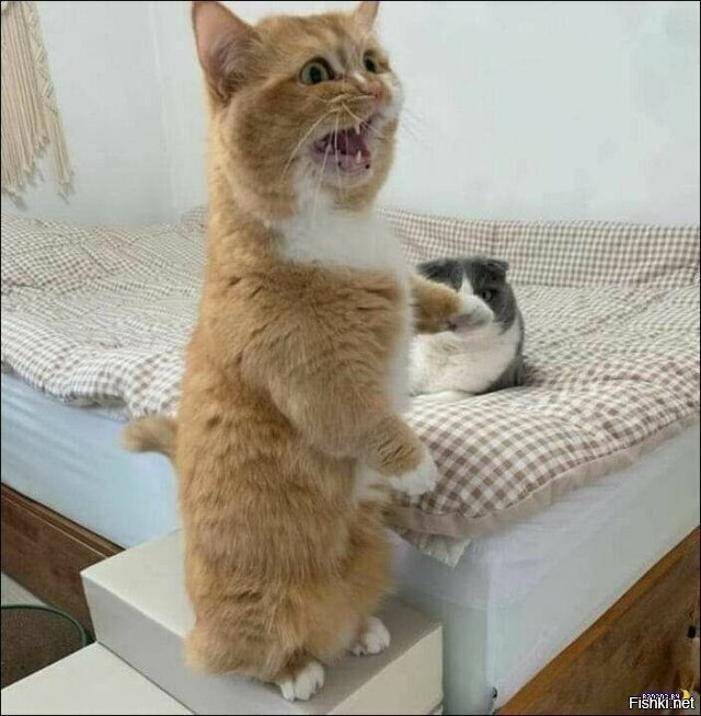 ..это не я!...