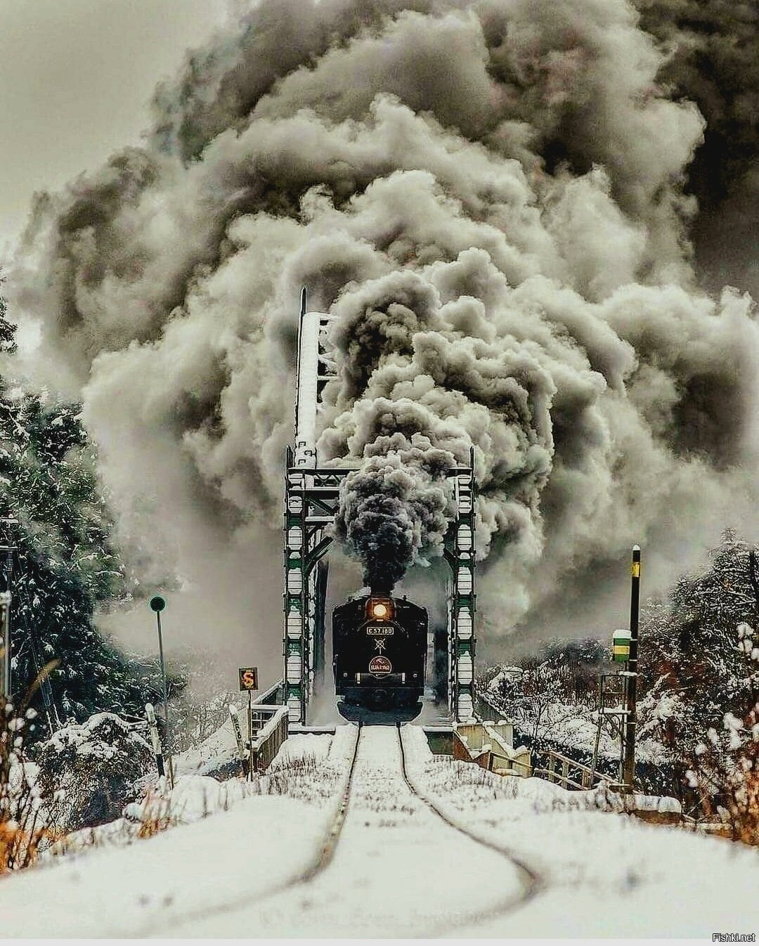 Солянка