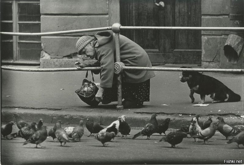 Хлеб для голубей, Ленинград, июль 1978 года