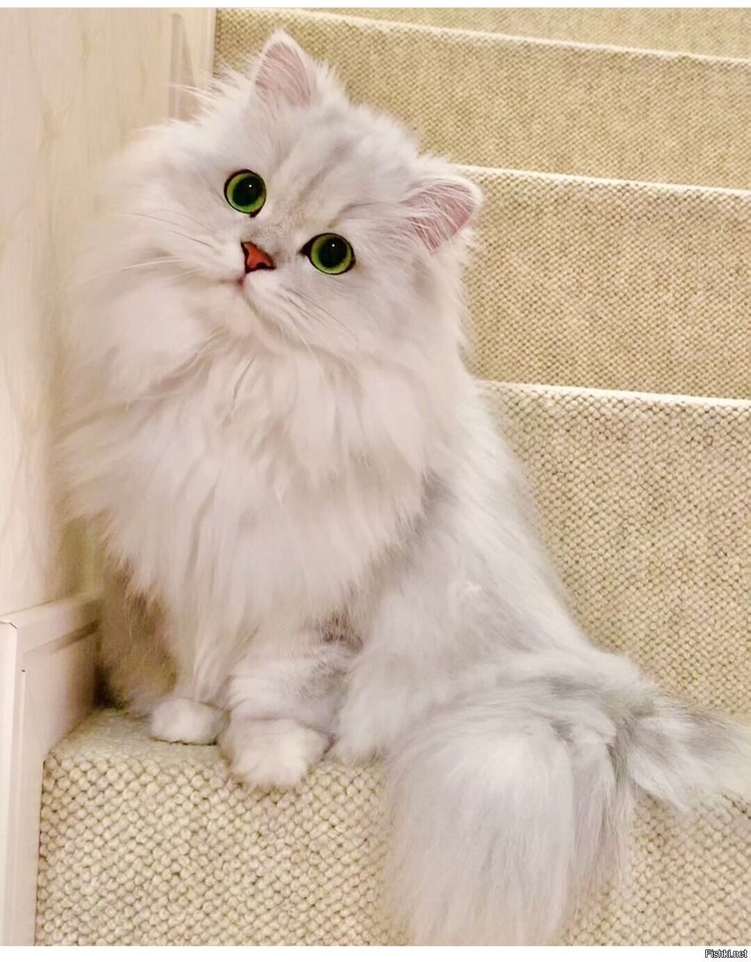 Доброе утро