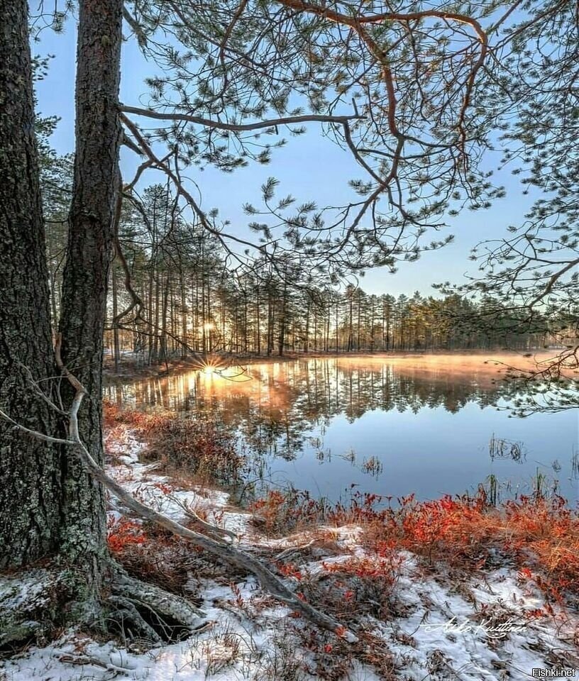 Солянка