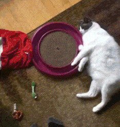 Шараиопим потихоньку