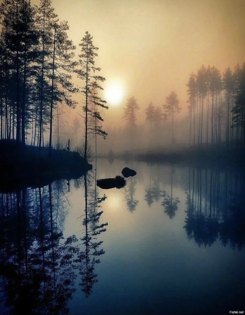 Солянка
