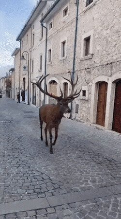 "Осенью, в дождливый серый день