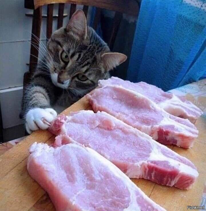само прикогтилось )