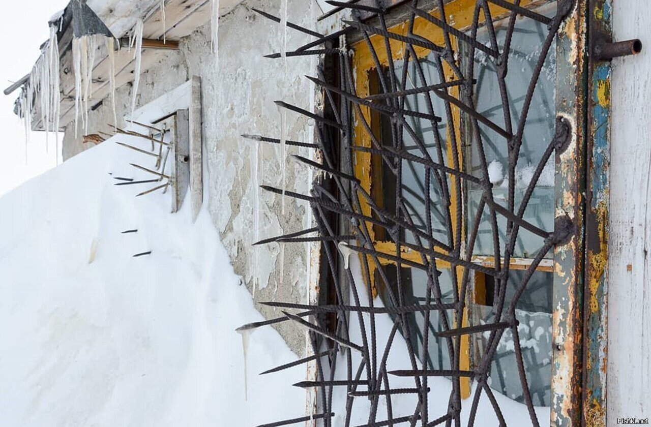 Защита от мишек